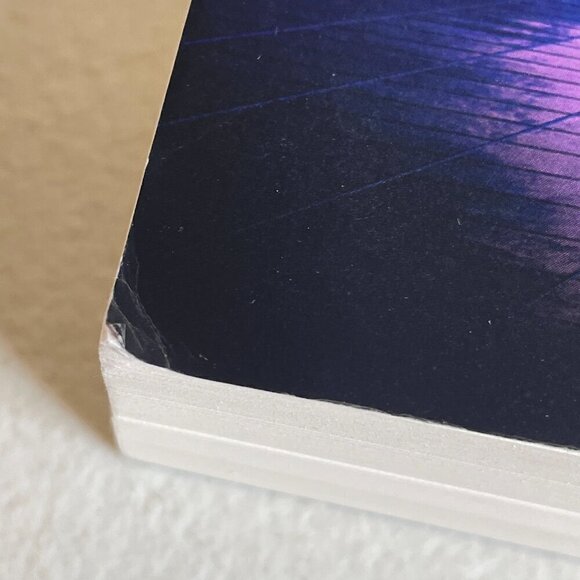 System Finale Book 12 by Tao Wong - Picture 5 of 11